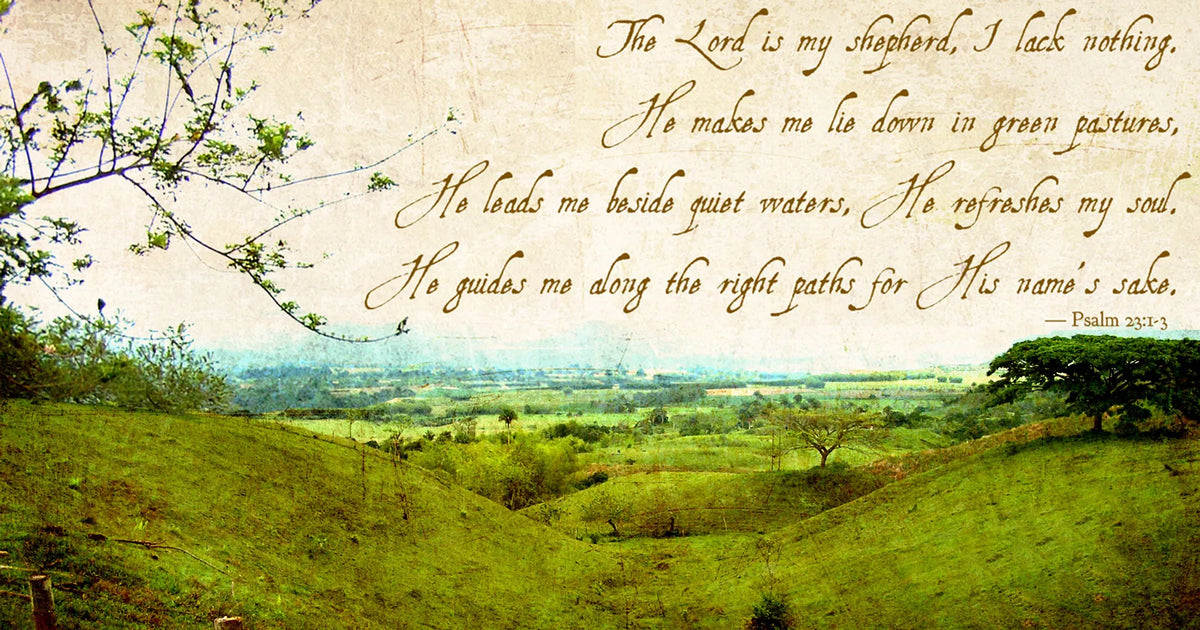 The Hidden Treasure of Pope St. John XXIII, Part 2