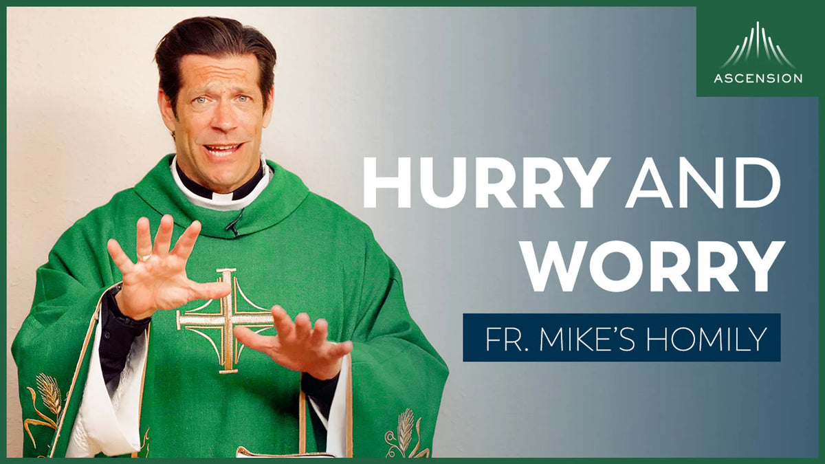 Hurry and Worry | Fourteenth Sunday in Ordinary Time (Fr. Mike's Homily)