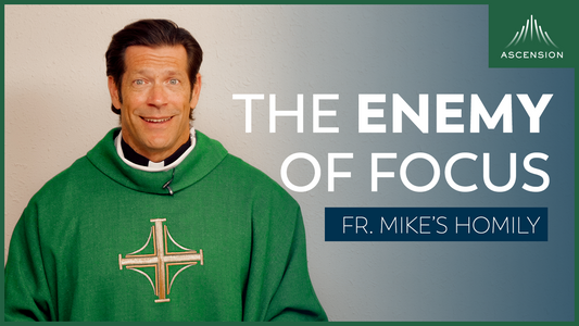 The Enemy of Focus | Nineteenth Sunday in Ordinary Time (Fr. Mike's Homily)