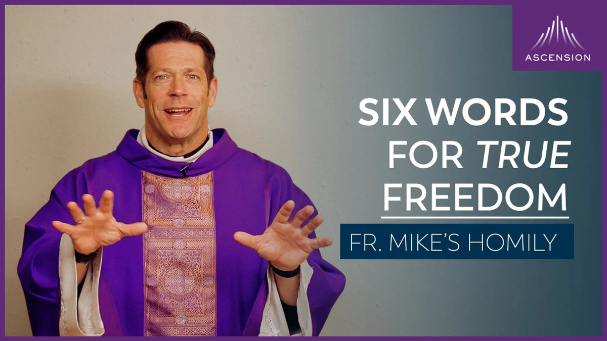 Main Character: An Average Star | The First Sunday of Advent (Fr. Mike's Homily)