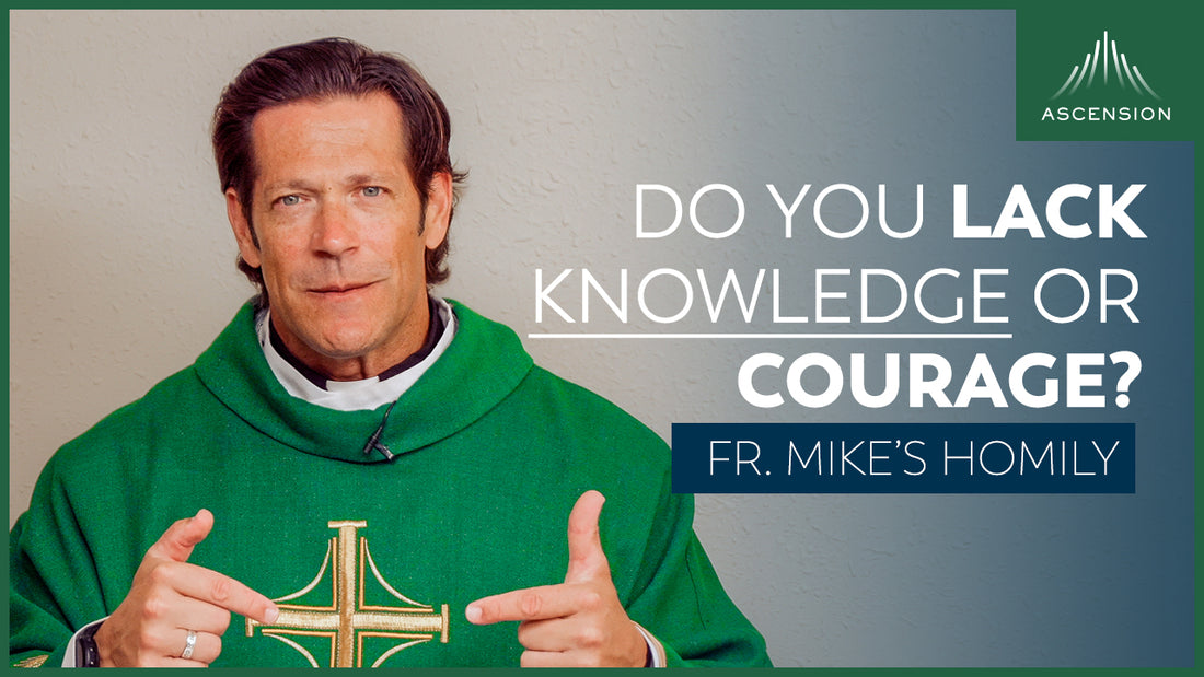 More Knowledge or More Courage? | Twentieth Sunday in Ordinary Time (Fr. Mike's Homily)