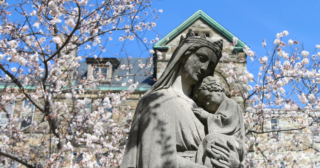 Imagine Mary’s First Communion