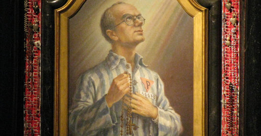 The Knight of the Immaculata: St. Maximilian Kolbe