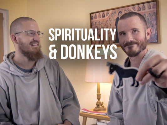 CFRs with text, spirituality and donkeys