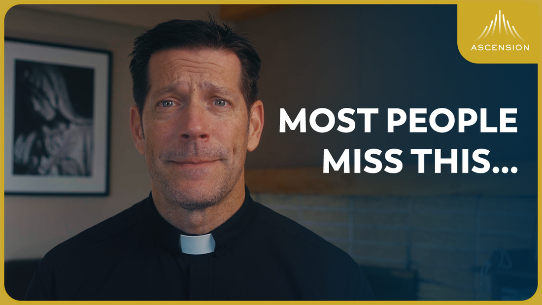 Why Did Judas Betray Jesus? (w/ Fr. Mike Schmitz)