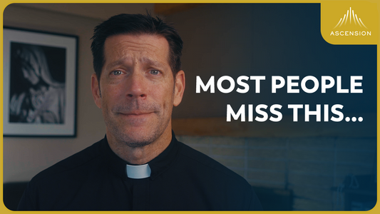 Why Did Judas Betray Jesus? (w/ Fr. Mike Schmitz)