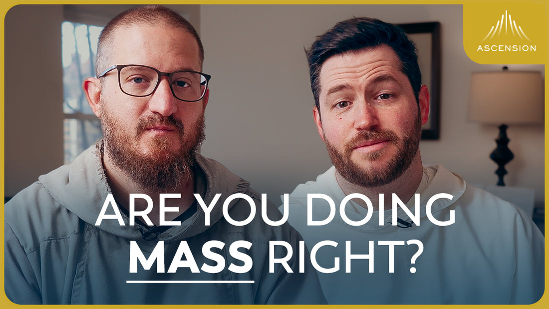 When You Go to Mass This Sunday, Do These 3 Things (feat. Fr. Jonah Teller, O.P.)