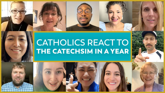 What Catholics are Saying About The Catechism in a Year (with Fr. Mike Schmitz)