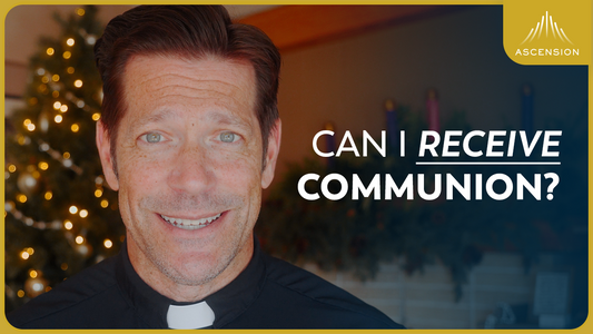 Do NOT Receive Communion Until You’ve Seen This (w/ Fr. Mike Schmitz)