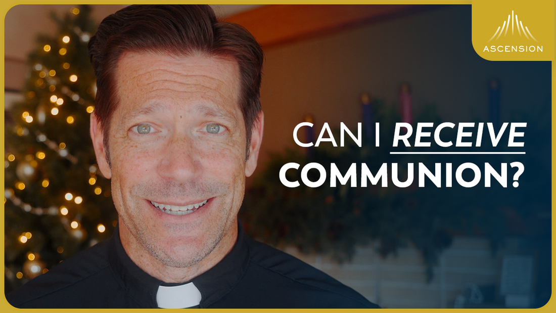 Do NOT Receive Communion Until You’ve Seen This (w/ Fr. Mike Schmitz)