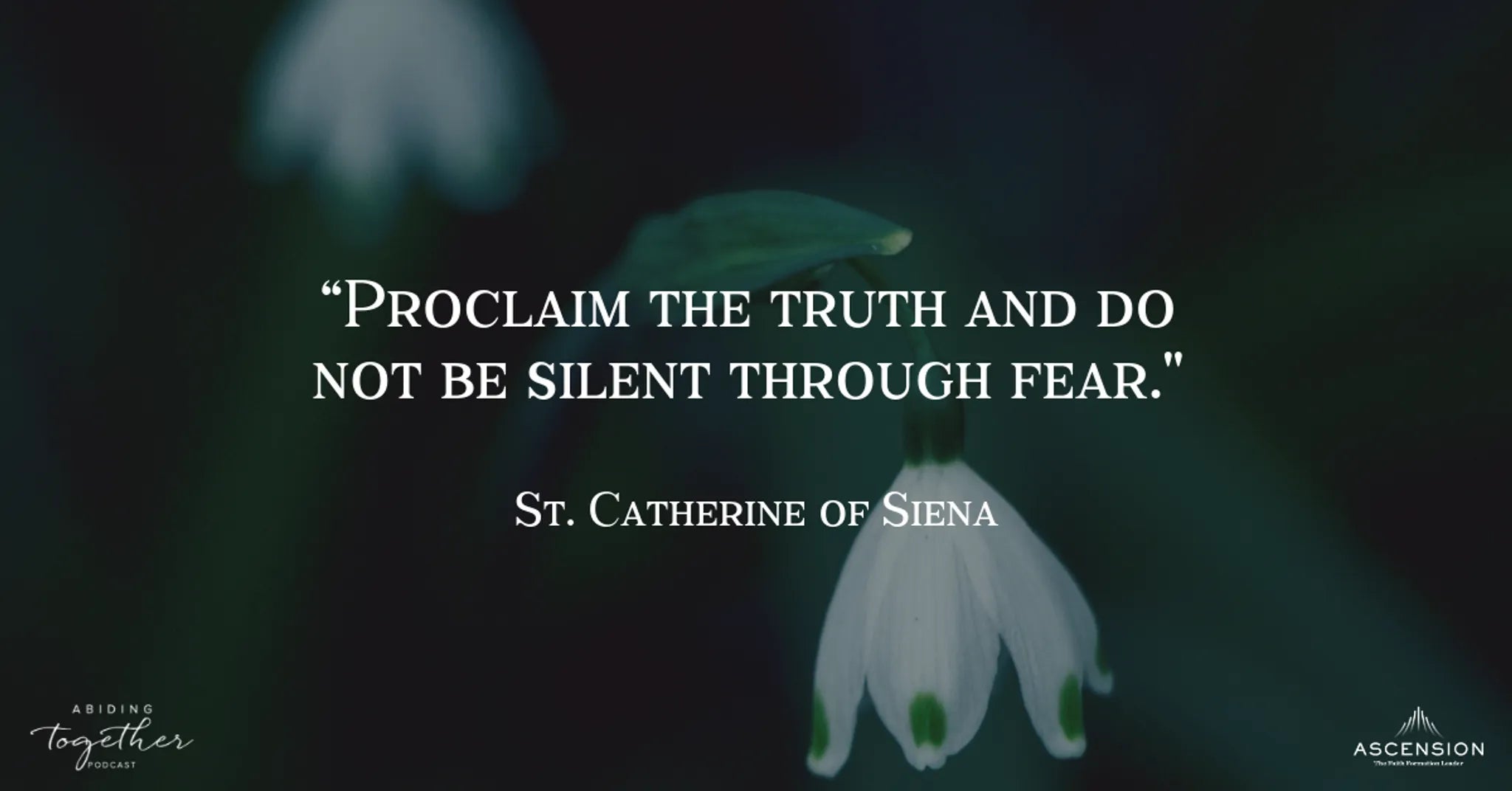 Doctors of the Church Part 1: Catherine of Siena