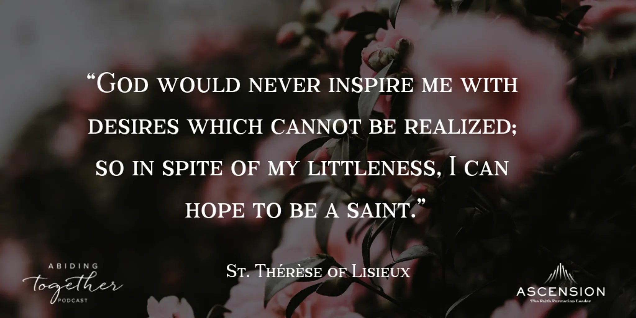 Doctors of the Church Part 4: St. Thérèse of Lisieux