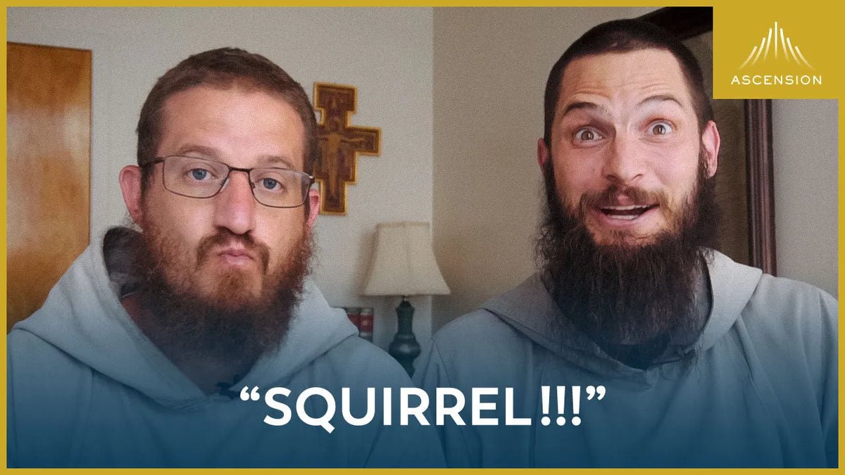Squirrel!