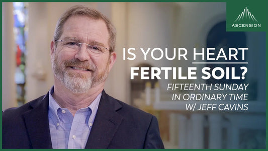 Fifteenth Sunday: The Parable of the Seeds