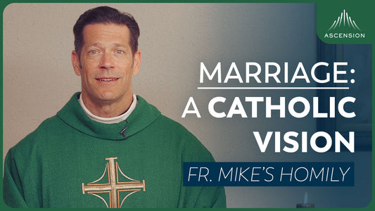 Marriage: a Catholic Vision | 27th Sunday in Ordinary Time (Fr. Mike's Homily)