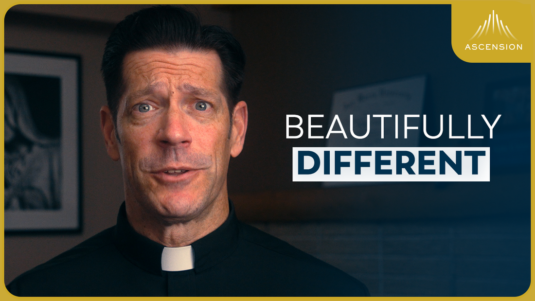 The Differences Between Men and Women (w/ Fr. Mike Schmitz)