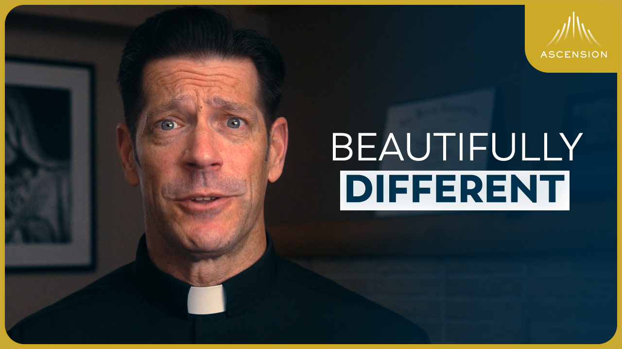 The Differences Between Men and Women (w/ Fr. Mike Schmitz)