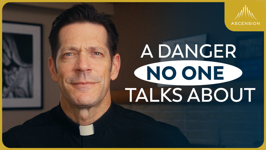 Politics Are Distracting You From This (w/ Fr. Mike Schmitz)