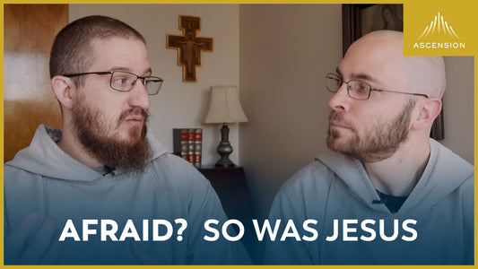 Afraid? So Was Jesus