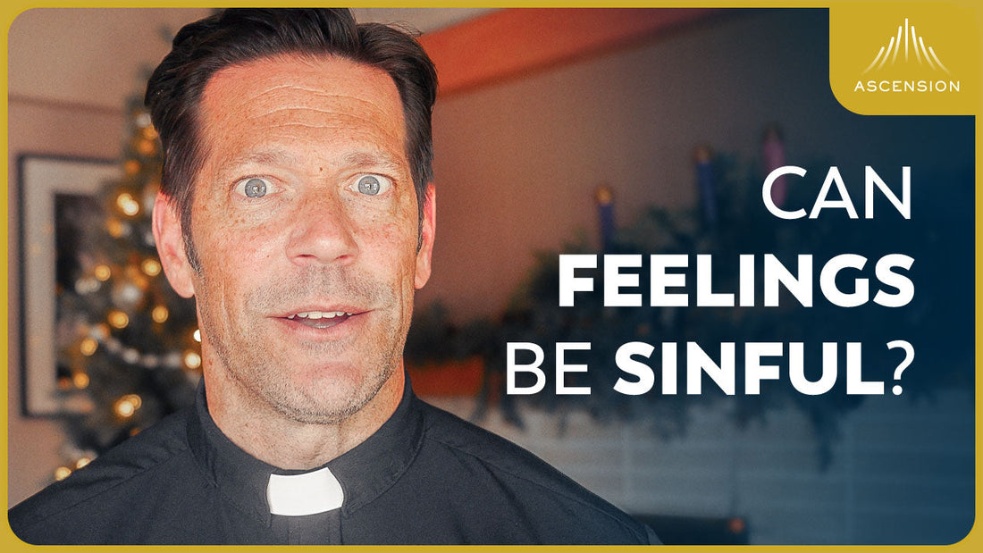 Sin, Emotions and Virtue Explained (w/ Fr. Mike Schmitz)