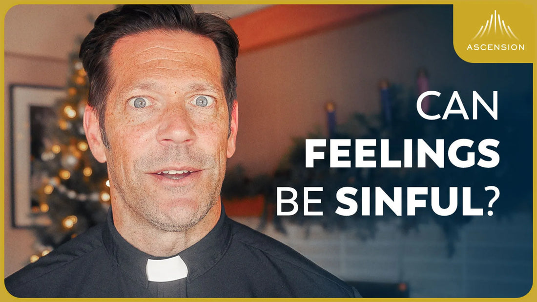 Sin, Emotions and Virtue Explained (w/ Fr. Mike Schmitz)