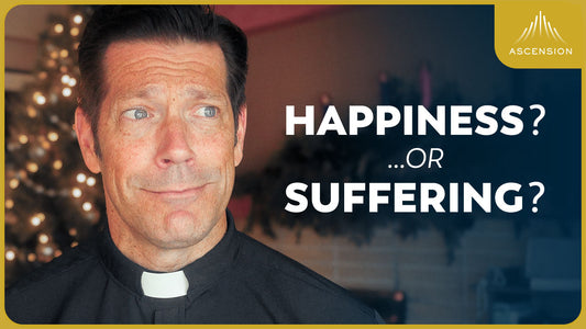 Will Being a Christian Make My Life Easier or Harder? (w/ Fr. Mike Schmitz)