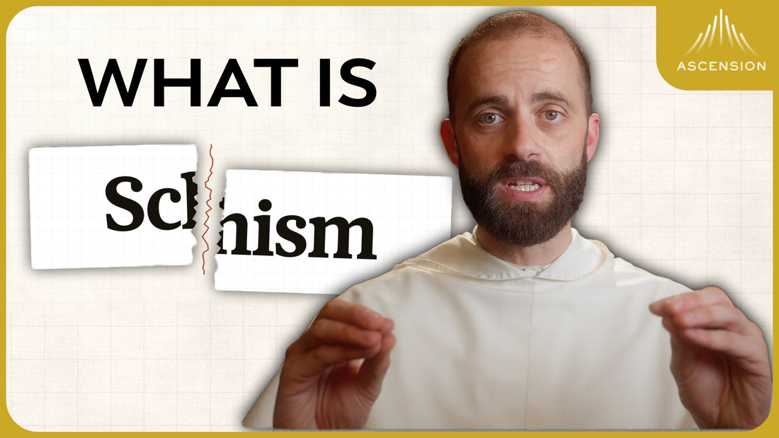 Schism Explained (w/ Fr. Gregory Pine)