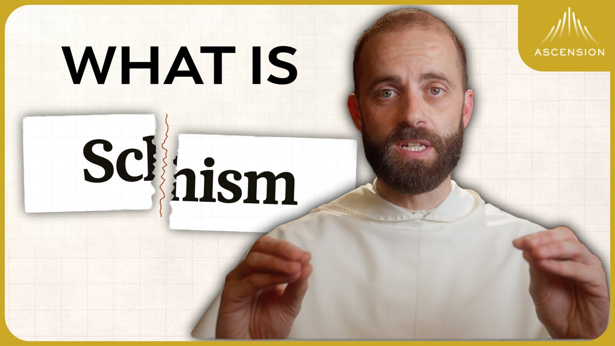 Schism Explained (w/ Fr. Gregory Pine)