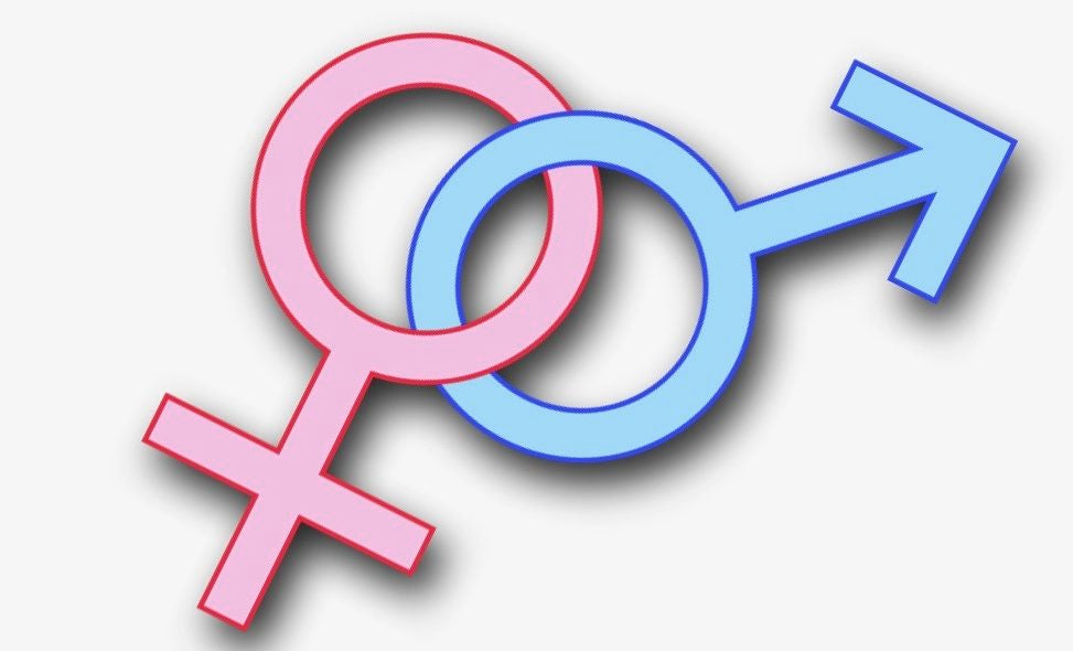 23 Keys for Unlocking the Mystery of Gender, Identity, and Human Sexuality