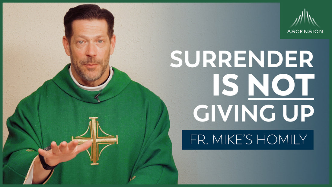 True Surrender | 12th Sunday in Ordinary Time (Fr. Mike's Homily)