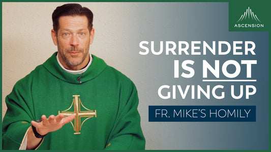 True Surrender | 12th Sunday in Ordinary Time (Fr. Mike's Homily)