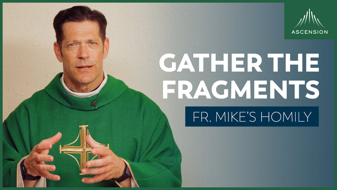 Give and Gather|17th Sunday in Ordinary Time (Fr. Mike's Homily)