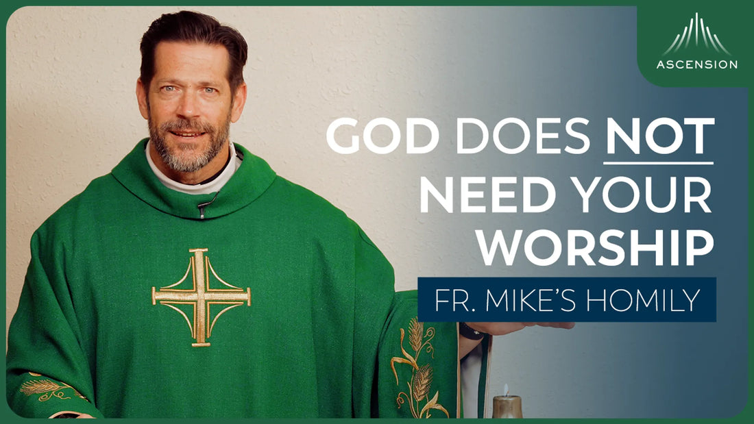Kingdom Sacrifice | 32nd Sunday in Ordinary Time (Fr. Mike's Homily)