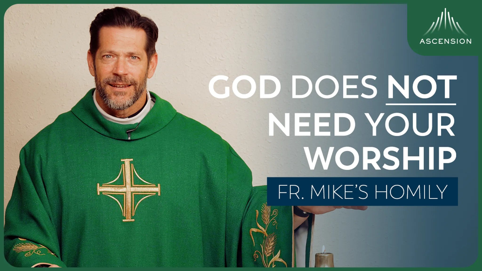 Kingdom Sacrifice | 32nd Sunday in Ordinary Time (Fr. Mike's Homily)