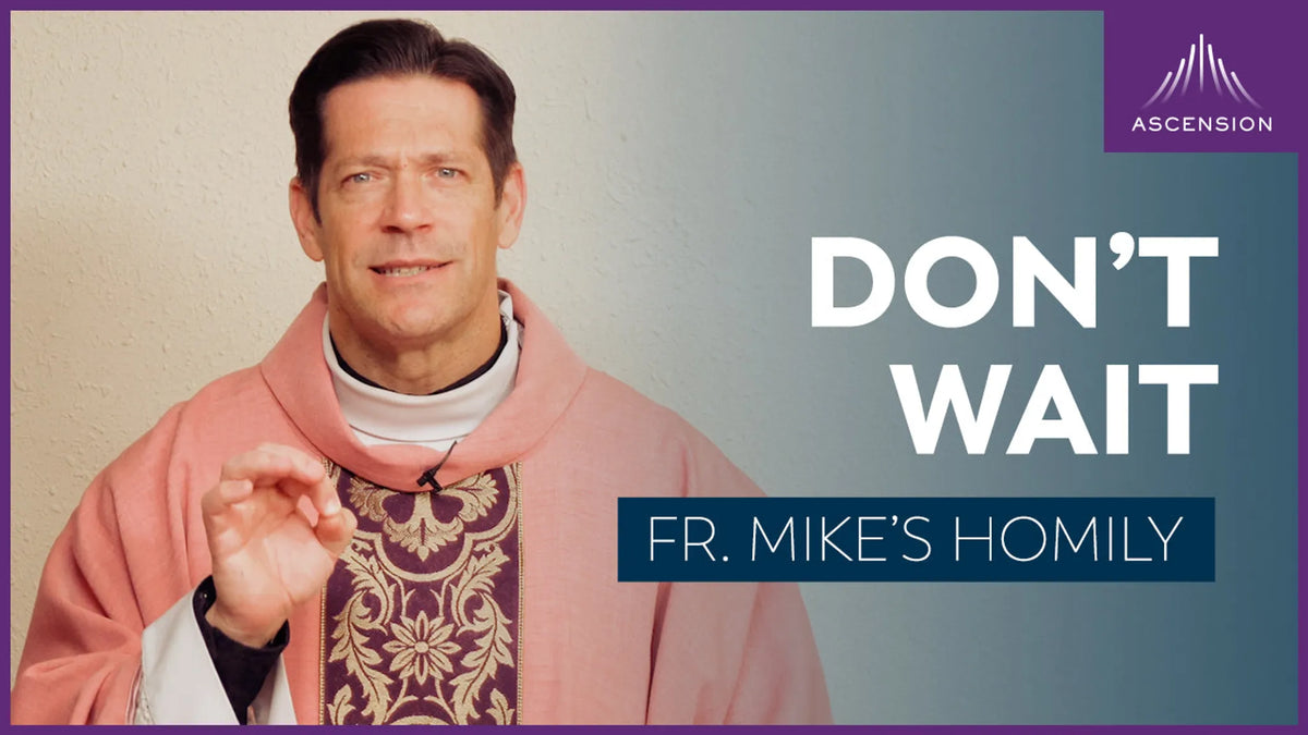 Main Character: Don't Wait | The Third Sunday of Advent (Fr. Mike's Homily)