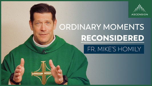 Holiness in the Ordinary | 3rd Sunday in Ordinary Time (Fr. Mike's Homily)