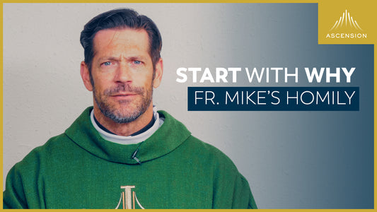 “Start With Why” + 28th Sunday in Ordinary Time (Fr. Mike’s Homily)