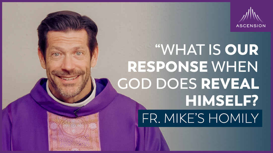 “When He Reveals Himself” + The Fourth Sunday of Advent (Fr. Mike’s Homily)