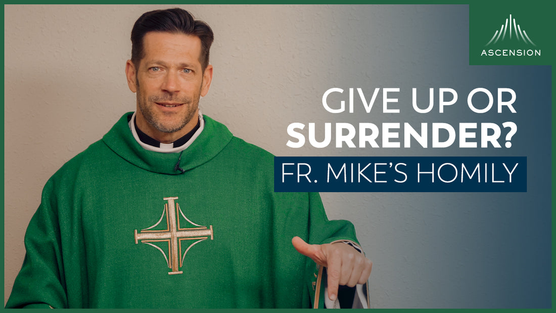 Homeless: Give Up or Surrender? + 7th Sunday in Ordinary Time (Fr. Mike's Homily)