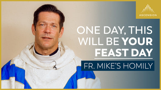 This Could Be Your Feast Day | All Saints Day (Fr. Mike's Homily)