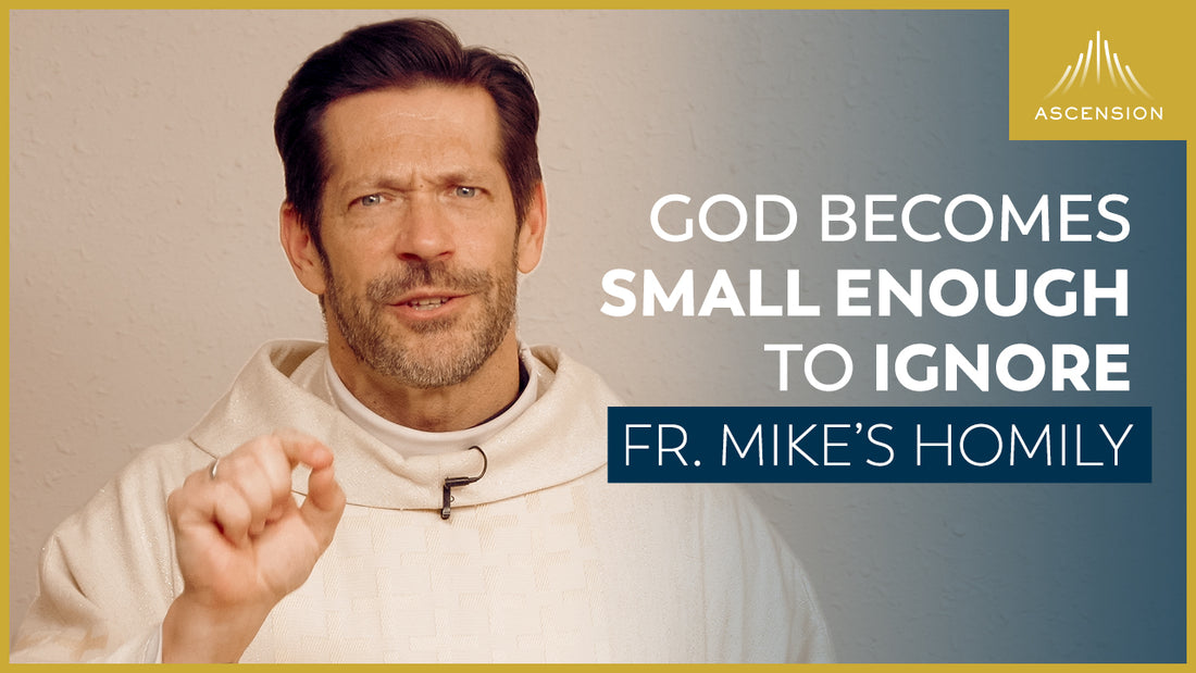 “Small Enough to Ignore” + The Nativity of the Lord (Fr. Mike’s Homily)