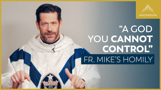 “A God You Cannot Control”  + Solemnity of Christ the King (Fr. Mike’s Homily)