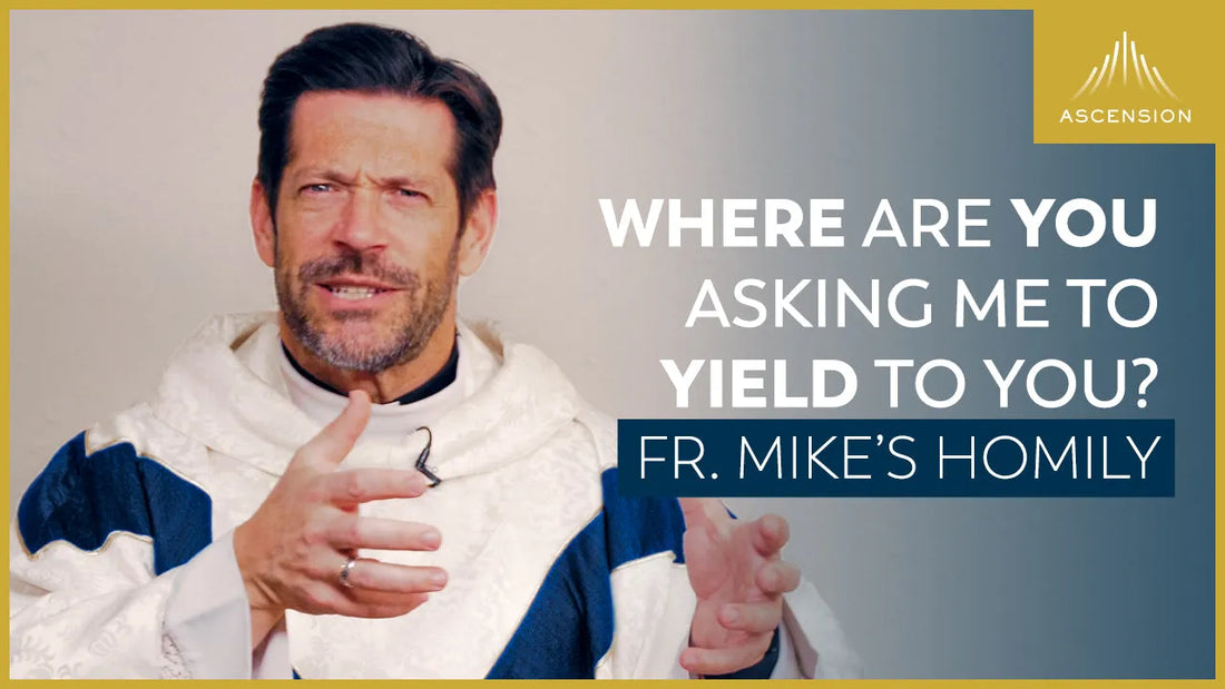 “Receptivity?” + The Solemnity of the Immaculate Conception (Fr. Mike's Homily)