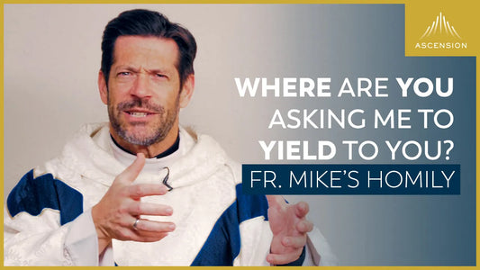 “Receptivity?” + The Solemnity of the Immaculate Conception (Fr. Mike's Homily)