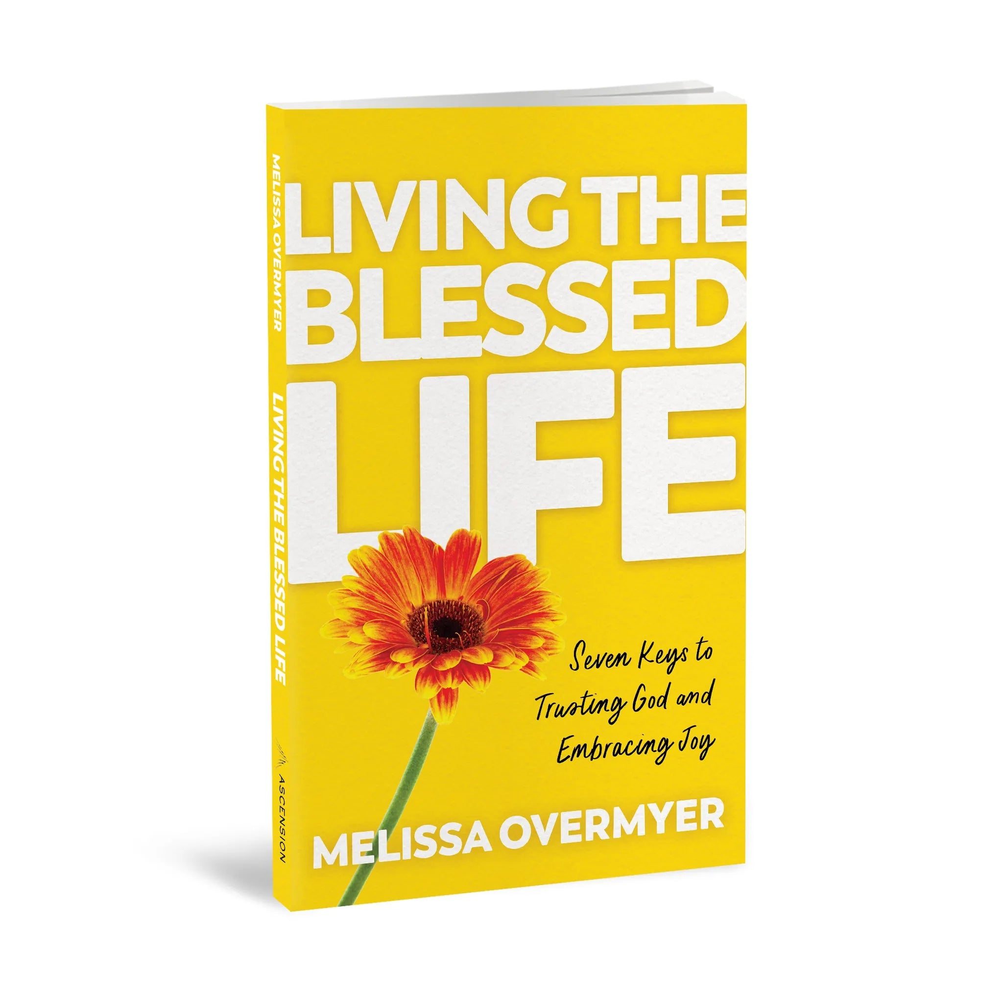 New Ascension Book Helps Catholics Combat Meaninglessness through Finding Joy