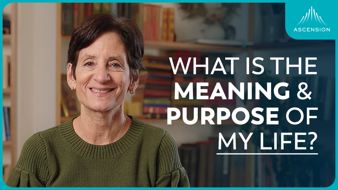 The 4 Fundamental Questions Every Human Must Ask (feat. Debbie Herbeck)