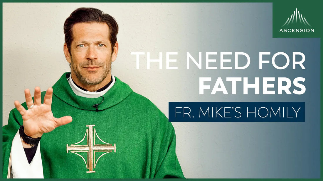 The Need for Fathers | Eleventh Sunday in Ordinary Time (Fr. Mike's Homily)