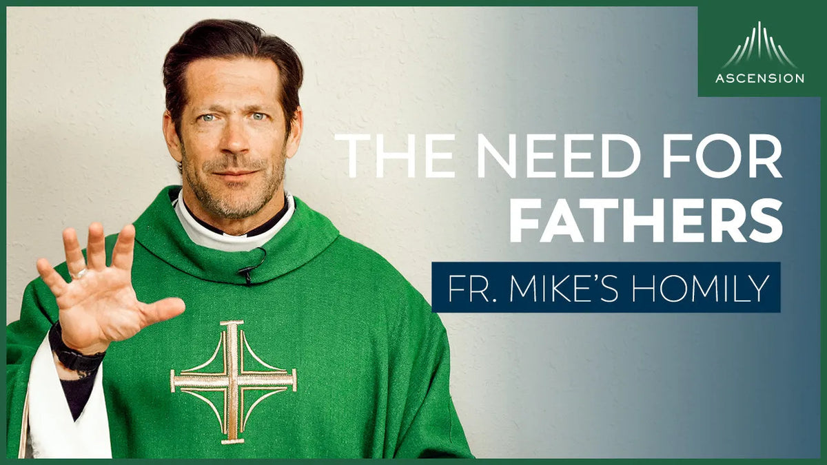 The Need for Fathers | Eleventh Sunday in Ordinary Time (Fr. Mike's Homily)