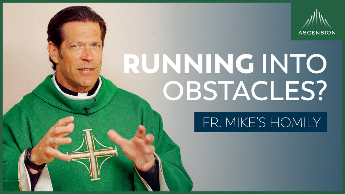 Running Into Obstacles | Fifteenth Sunday in Ordinary Time (Fr. Mike's Homily)