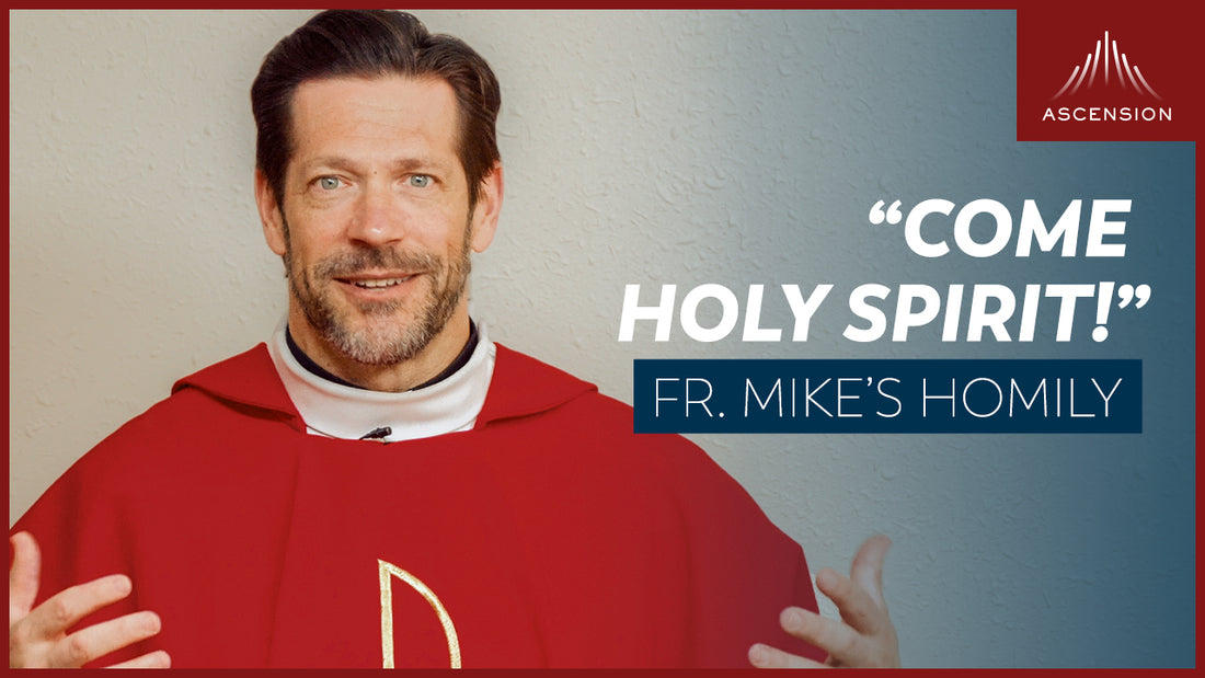 Come Holy Spirit! | Pentecost Sunday (Fr. Mike's Homily)